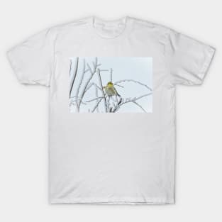 American Goldfinch on a Snowy Day by Debra Martz T-Shirt